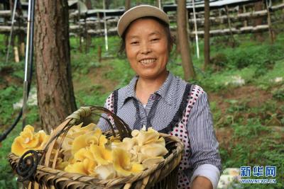 建设人与自然和谐共生的美丽家园——习近平生态文明思想基层生动实践新观察