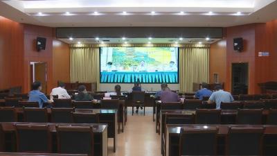 视频︱蕲春组织收看全省疫情精准防控视频调度会