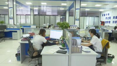 视频︱元至7月蕲春商务经济指标提速进位   跃入全市前列