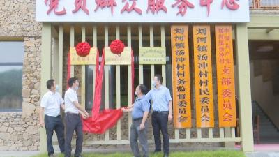 视频︱刘河汤冲村成为平安财险在黄冈唯一乡村振兴共建村