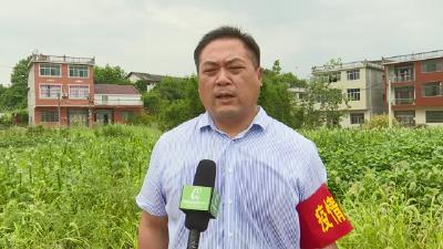 视频︱詹春辉：心系群众安危   推进乡村振兴