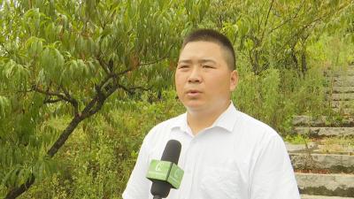 视频︱詹必承：盘活集体经济   带动村民增收
