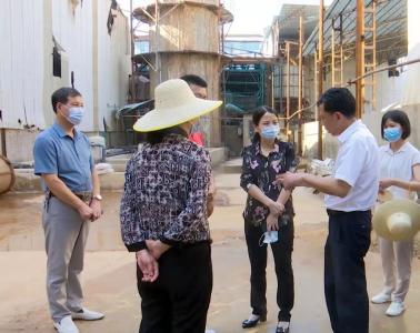 陈丹调研督办环保督察及审计反馈问题整改工作