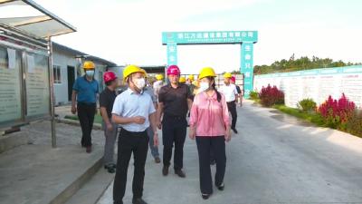 视频︱县人大常委会开展《中华人民共和国建筑法》执法检查