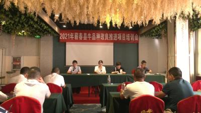 视频︱县农村农业局：培养实用型人才   发展养牛业