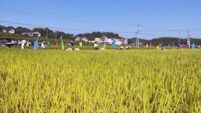 视频︱田间地头赛丰收