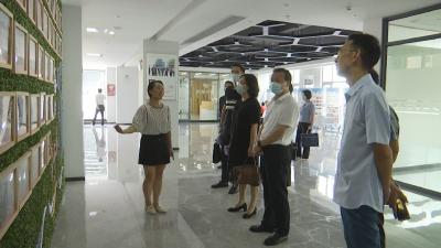 视频︱省委办公厅来我县调研农村电商发展