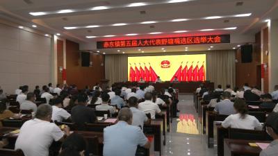 视频︱县人大常委会组织人大换届投票选举模拟演练
