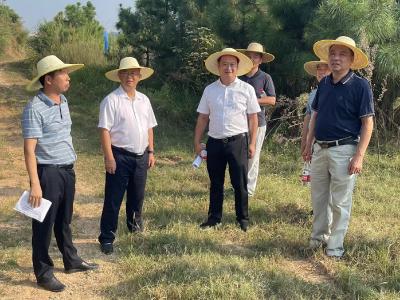 千人进千企｜蕲春本草药膳产业创新基地项目即将启动土地平整施工