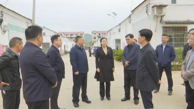 视频︱市人大常委会来蕲调研督导巩固脱贫攻坚成果工作