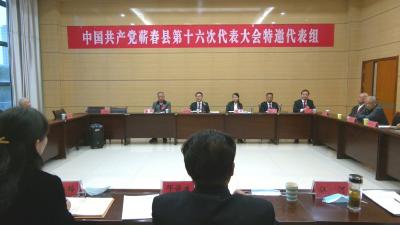 视频︱胡安元  陈丹等县领导参加审议《报告》