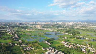 视频︱蕲春：筑牢底盘   产业发展蝶变裂变