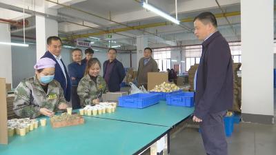 视频︱省统计局来蕲调研农业产业化工作