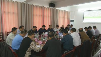 视频︱本草药膳产业创新基地项目建设指挥部：做好服务  确保项目如期开工