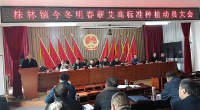 株林镇早部署早动员，大力推进蕲艾高标准种植