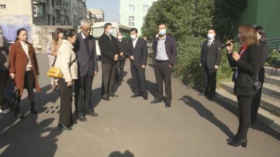 视频︱部分驻鄂全国  省人大代表来蕲视察优化营商环境等诉讼检察工作