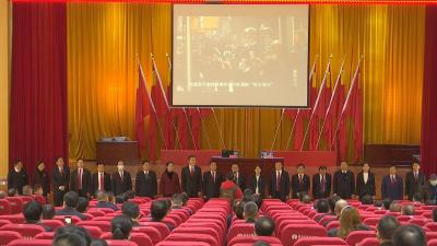 视频︱胡安元  陈丹等县领导看望人大代表