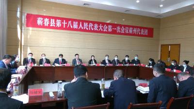 视频︱陈丹 桂勇军与人大代表共商发展