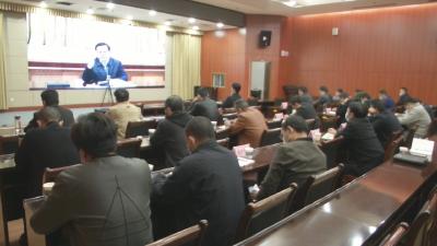 视频︱蕲春组织收看省市迎峰度冬能源保供电视电话会