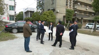 视频︱陈丹督办调研中央环保督察信访整改暨乡村振兴工作