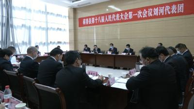 视频︱代表委员热议政府工作报告