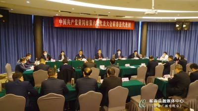 黄冈市第六次党代会蕲春县代表团审议五届巿委报告