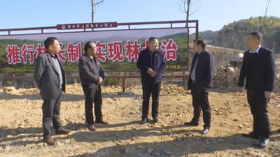 视频︱县领导到横车镇巡库巡林