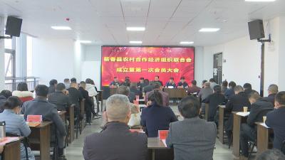 视频︱蕲春县农村合作经济组织联合会成立