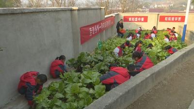 视频︱檀林镇第二中心小学：落实 “双减” 政策   提高动手能力