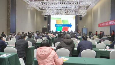 视频︱2021年黄冈市优质稻米品鉴暨产业链对接会在蕲春召开