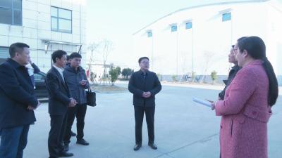 视频︱胡安元：培育壮大龙头企业   建设农业产业化强县