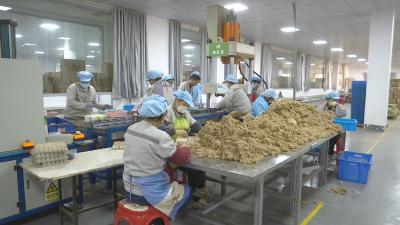 视频︱湖北蕲艾堂科技有限公司：聚力科研创新 擦亮李时珍品牌