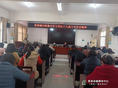 张榜镇妇联集中学习党的十九届六中全会精神