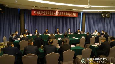 黄冈市第六次党代会蕲春县代表团审议五届巿委报告