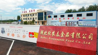 视频︱株林镇：大干快上 全力冲刺一季度“开门红”