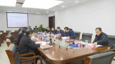 视频︱县政府党组理论学习中心组开展集中学习暨党史学习教育专题民主生活会学习研讨