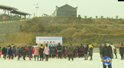 视频︱青石镇八怪园乡村旅游项目建成运营