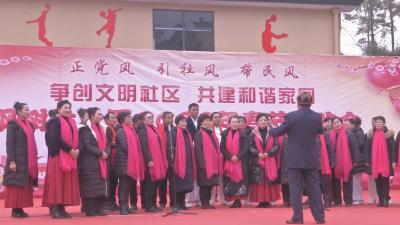 视频︱漕河镇枫树林社区：争创文明社区 共建和谐家园