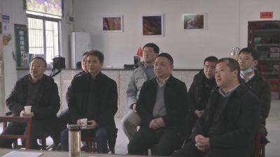 视频︱武汉音乐学院来大同镇金沟村调研乡村振兴
