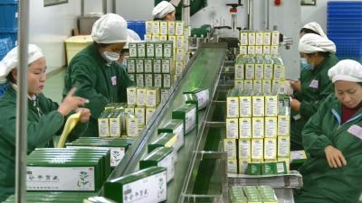 视频︱李时珍医药集团：技术革新助力一季度“开门红”