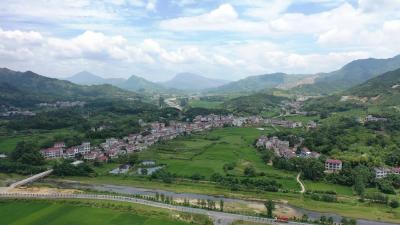 视频︱张榜镇：紧抓机遇 建设蕲北现代商贸物流和服务业中心镇