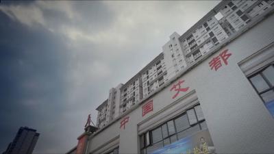 视频︱蕲春：以农业农村现代化促进县域经济突破性发展