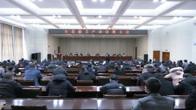 视频︱蕲春：高位推进蕲艾全产业链融合发展 打造千亿大健康产业