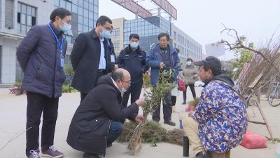 视频︱蕲春：整治非法经营苗木行为 维护林农利益
