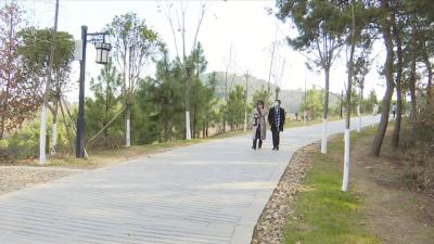 视频︱蕲春：守护“绿水青山” 收获“金山银山”
