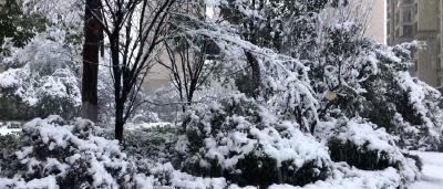 暴雪来袭，十个安全行车注意事项要牢记！