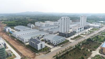 视频︱优化环境同频共振 招商引资好戏连台