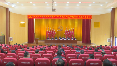 视频︱县发改局：稳中求进 力争固定资产投资295亿元