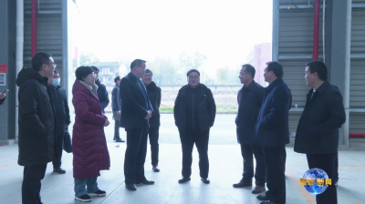 视频︱胡安元到园区调研督办重点项目建设