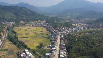 视频︱向桥乡：农旅融合打造全域生态旅游示范乡